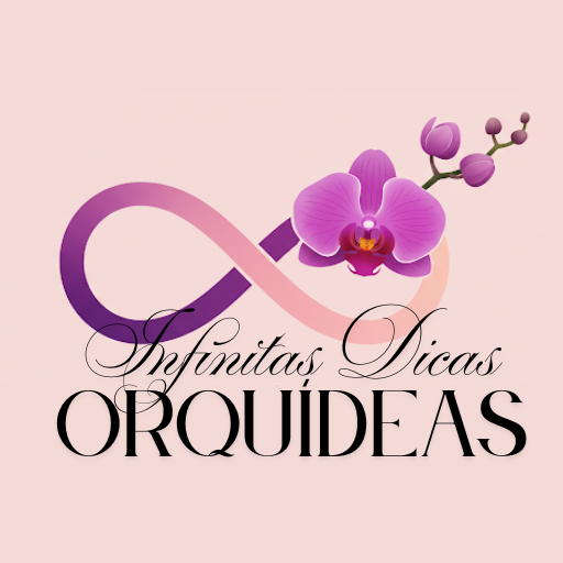 Infinitas Dicas Orquídeas
