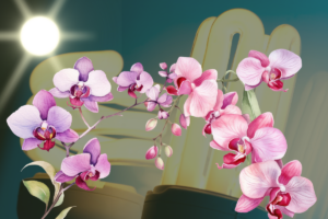 Luz Ideal para Orquídeas