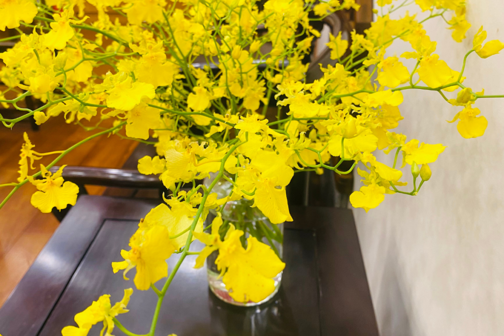 Orquídea Oncidium