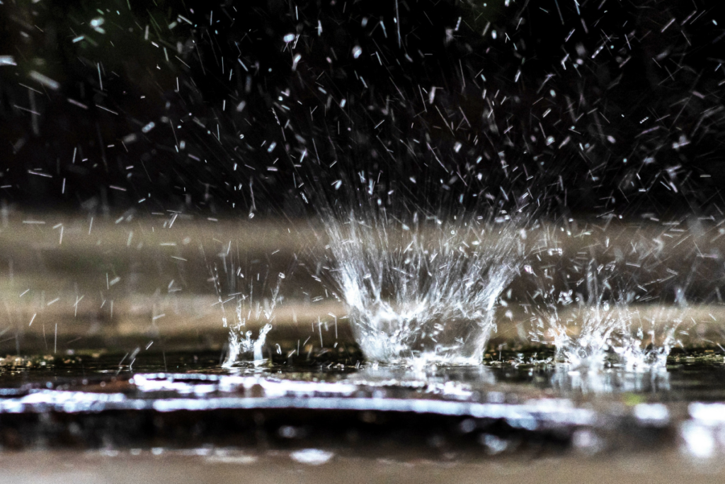 Água da Chuva é Boa para Orquídeas?