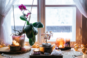 Orquídeas plantas de poder