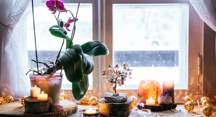 Orquídeas plantas de poder. Descubra os Segredos Místicos
