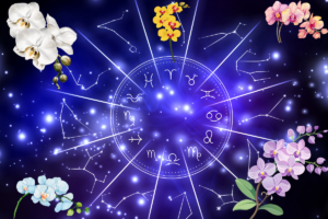 Orquídeas para Cada Signo